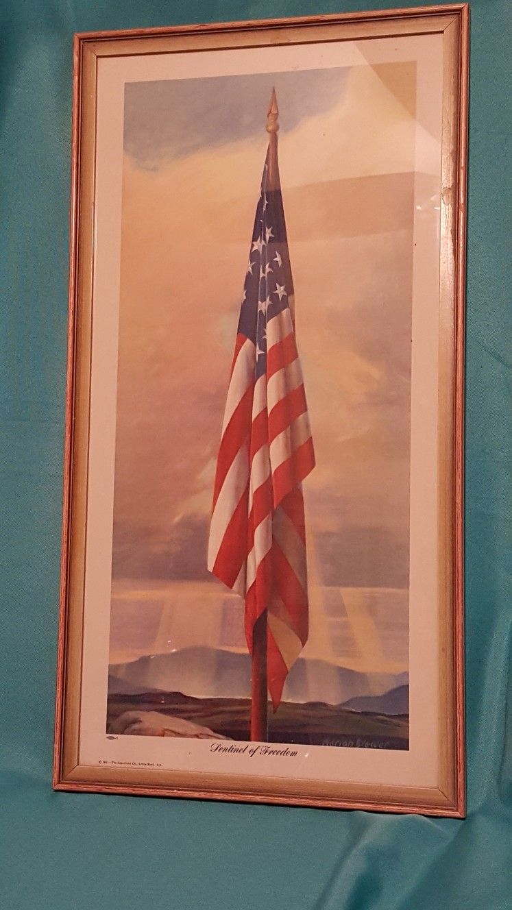 A BIT OF HISTORY COLLECTIBLE 48 STATE FRAMED FLAG
