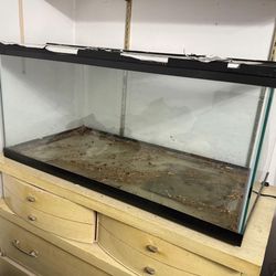 40 gallon reptile tank