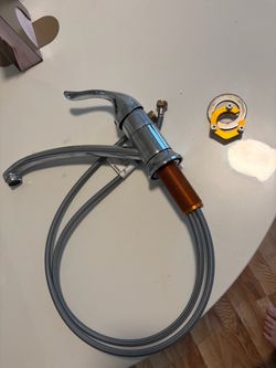 Faucet with Supply Hose