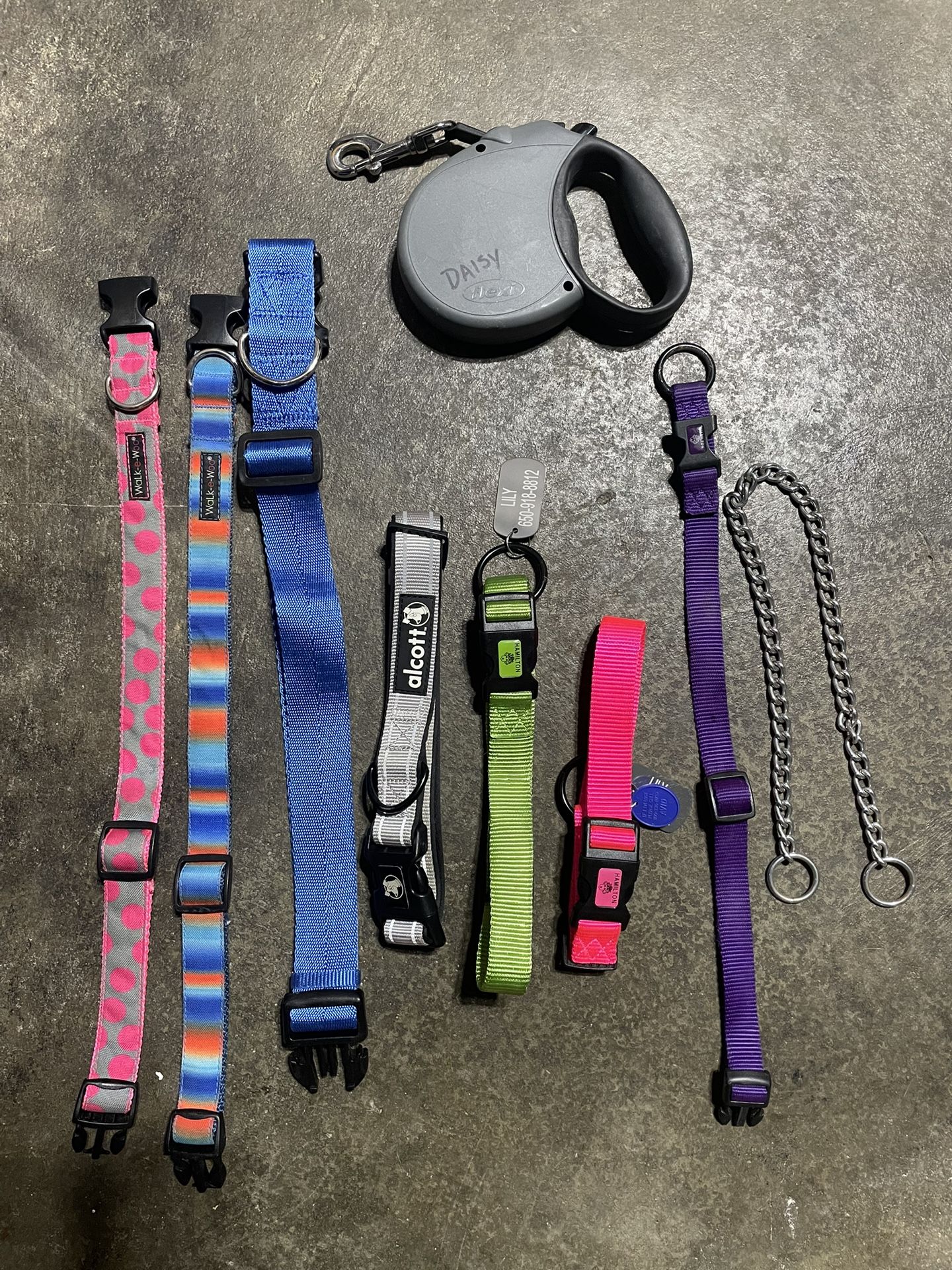 Dog Collars & Extend Leash