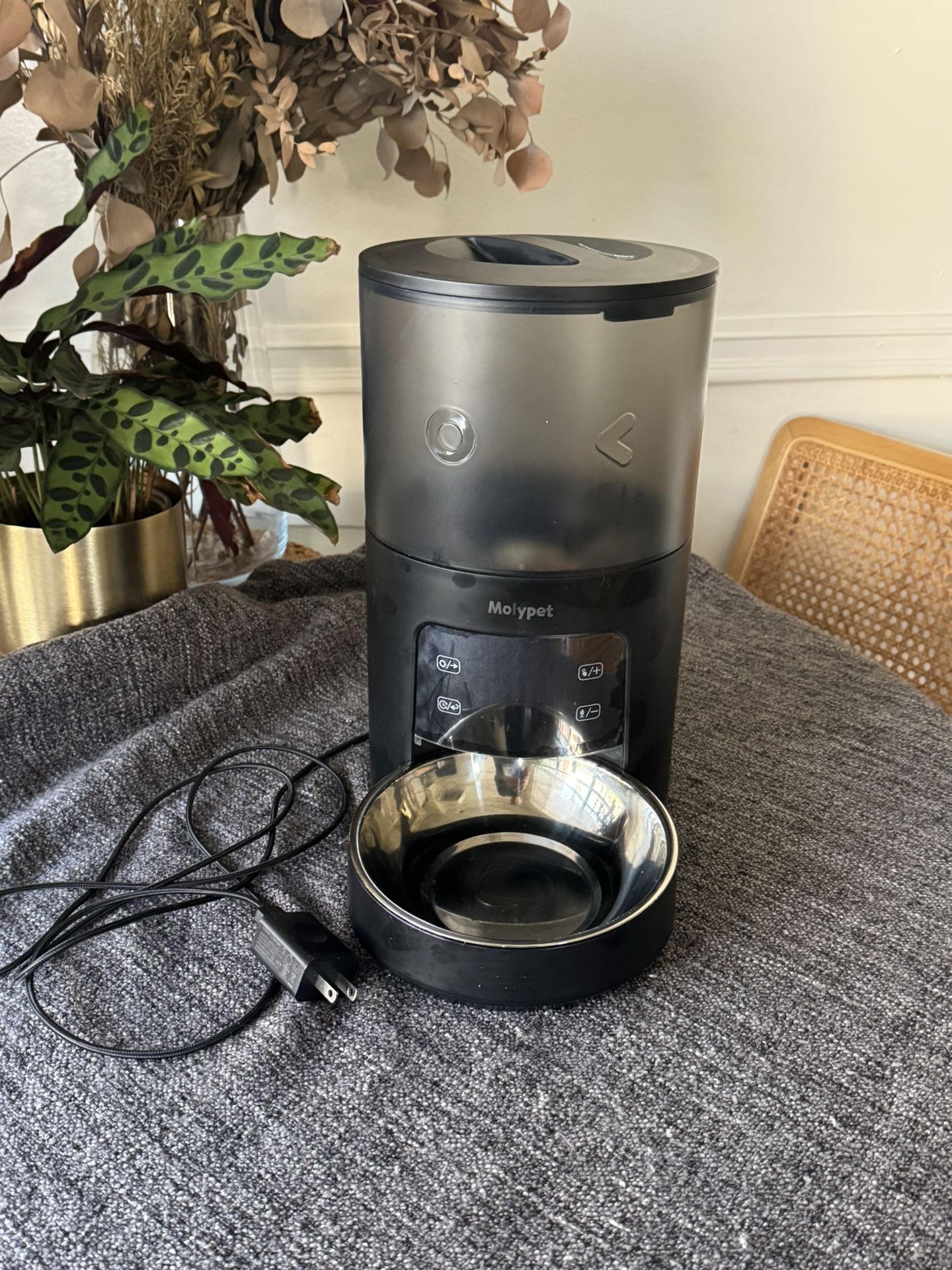 Automatic Cat Feeder 