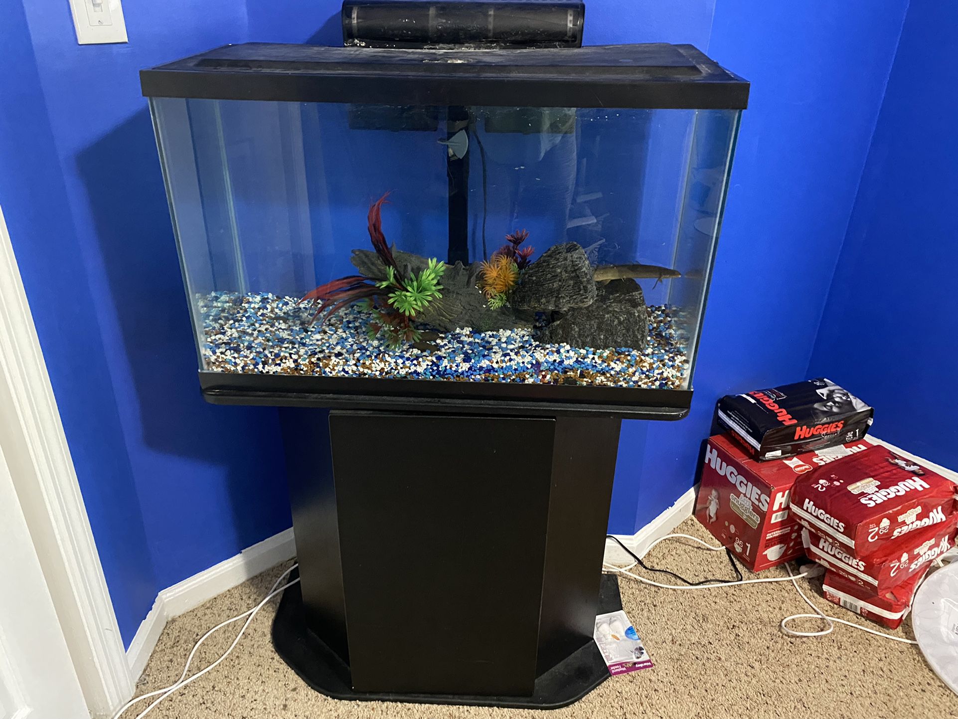 45 GALLON HORIZONTAL Fish Tank W/ Stand & FISH