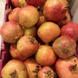 Organic Pomegranate New Season Fresh And Testing Three Dollar The Pound