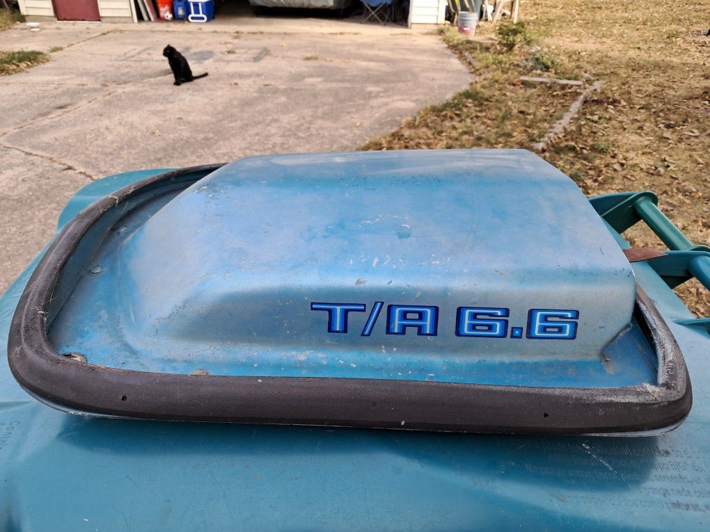 1981 Pontiac Firebird