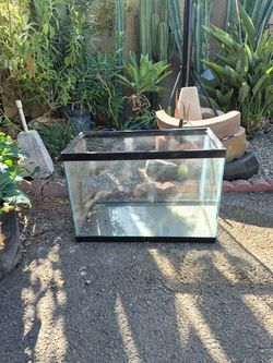 Fish tank