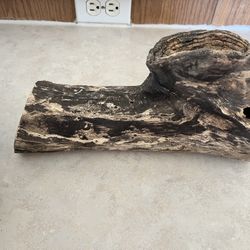 Log For Small Reptiles