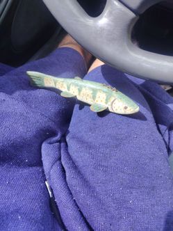Hand-Painted Wooden Fish Decoy