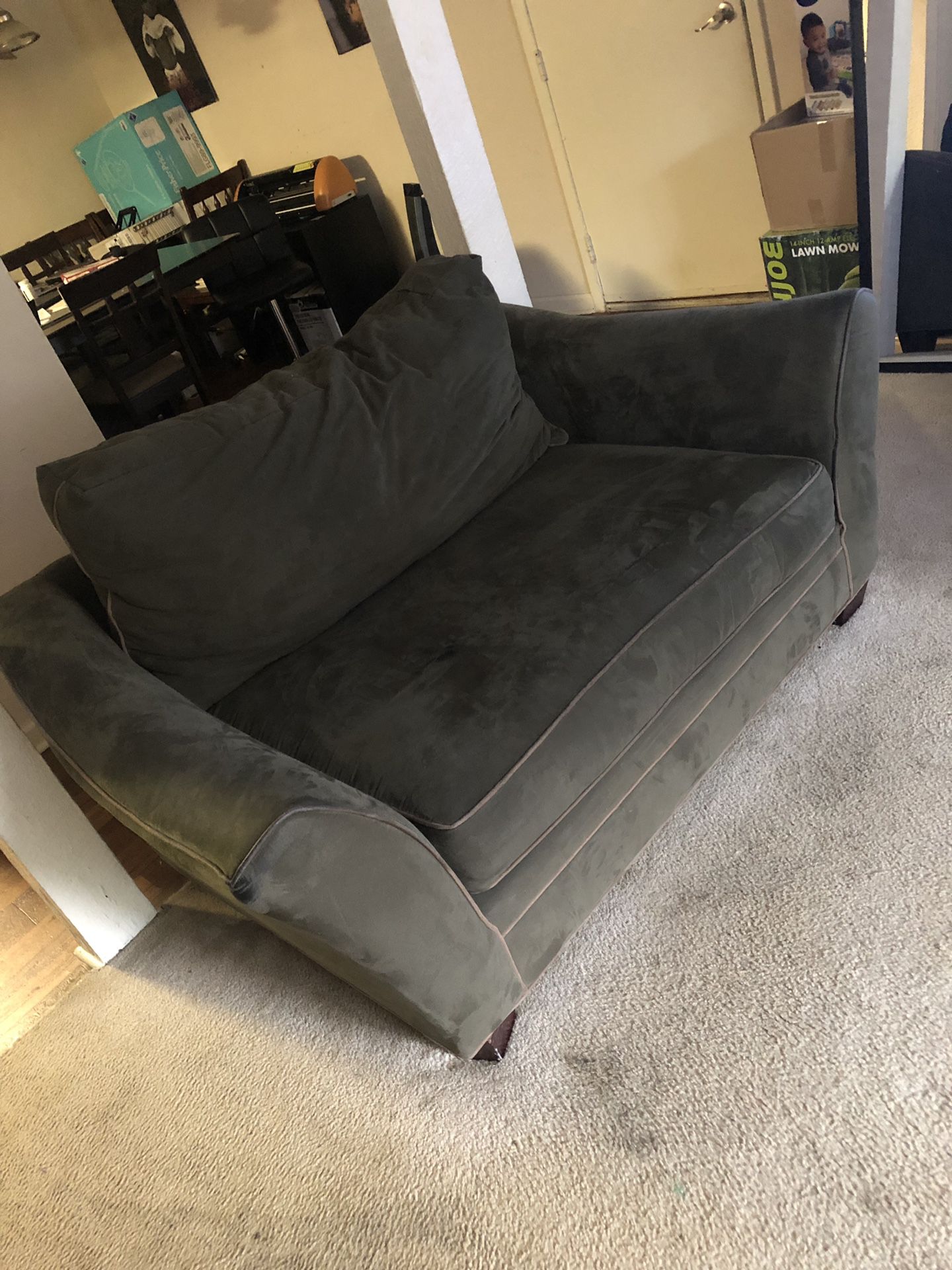 Army green couch must go by Friday