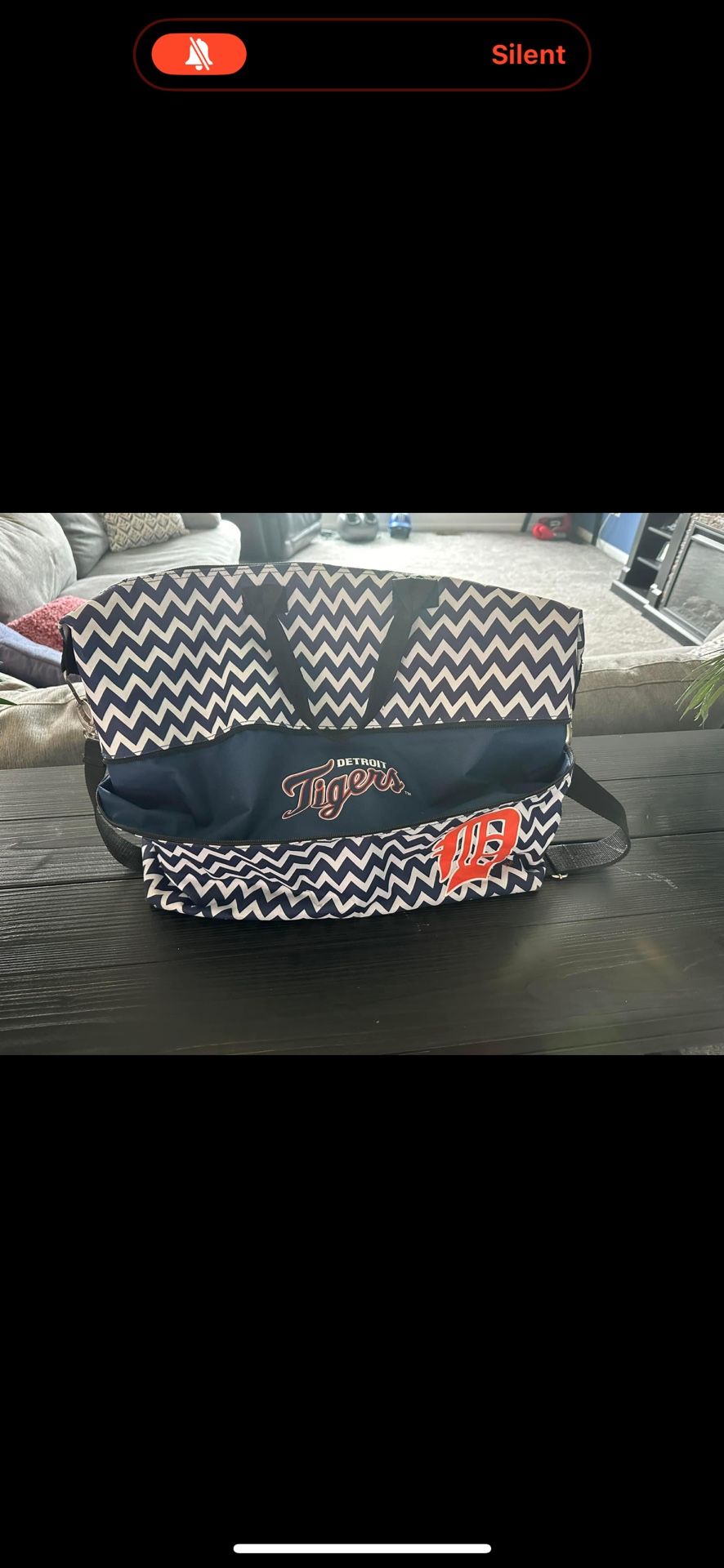 Detroit Tigers Expandable Bag