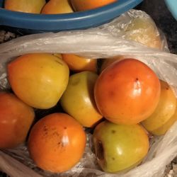 Persimos Non GMO 