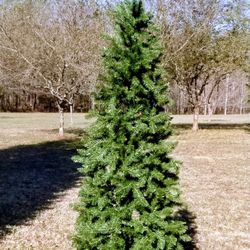 6.5' Christmas Tree 
