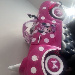 Minnie Mouse Cat 