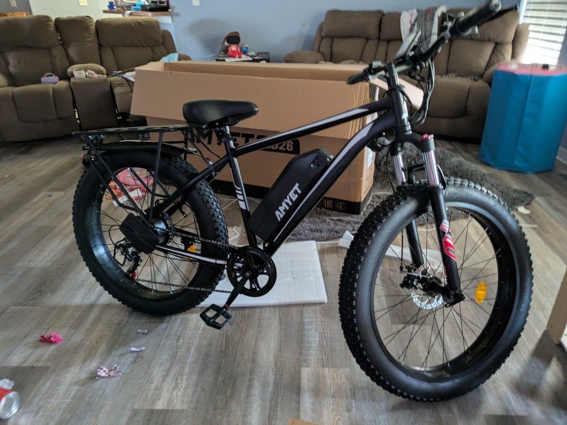Electric Bike