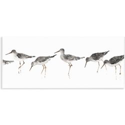Stupell Industries Beach Bird Sandpipers Minimal Grey White Painting