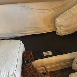 FREE CRATE & Barrel PULLOUT BED COUCH 