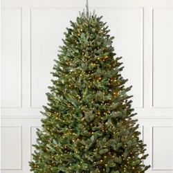 Christmas Tree Balsam HIill  Fraser Fir 71/2 Christmas Tree
