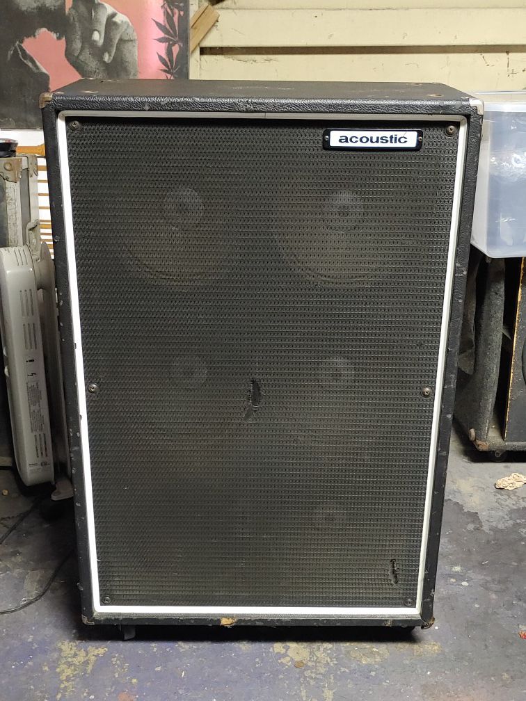 Acoustic bass and guitar amp 6x10 very loud cab