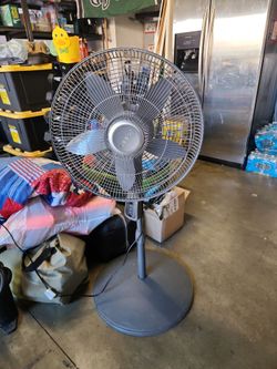 Fan