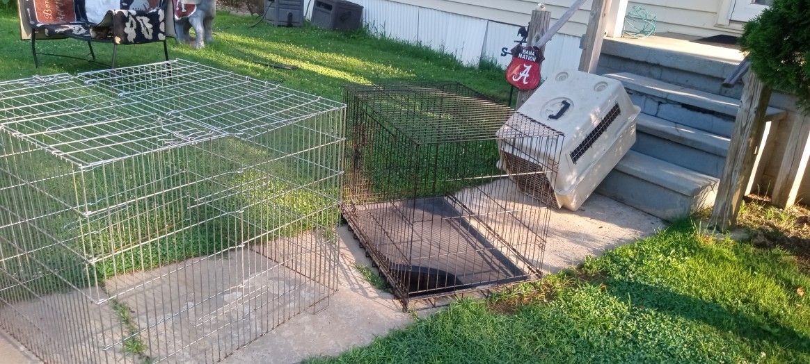 Dog Cages
