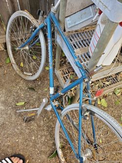 Bianchi nice little fixer bike