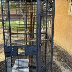 Parrot Cage
