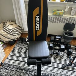 Exercise Bench (collapsable)