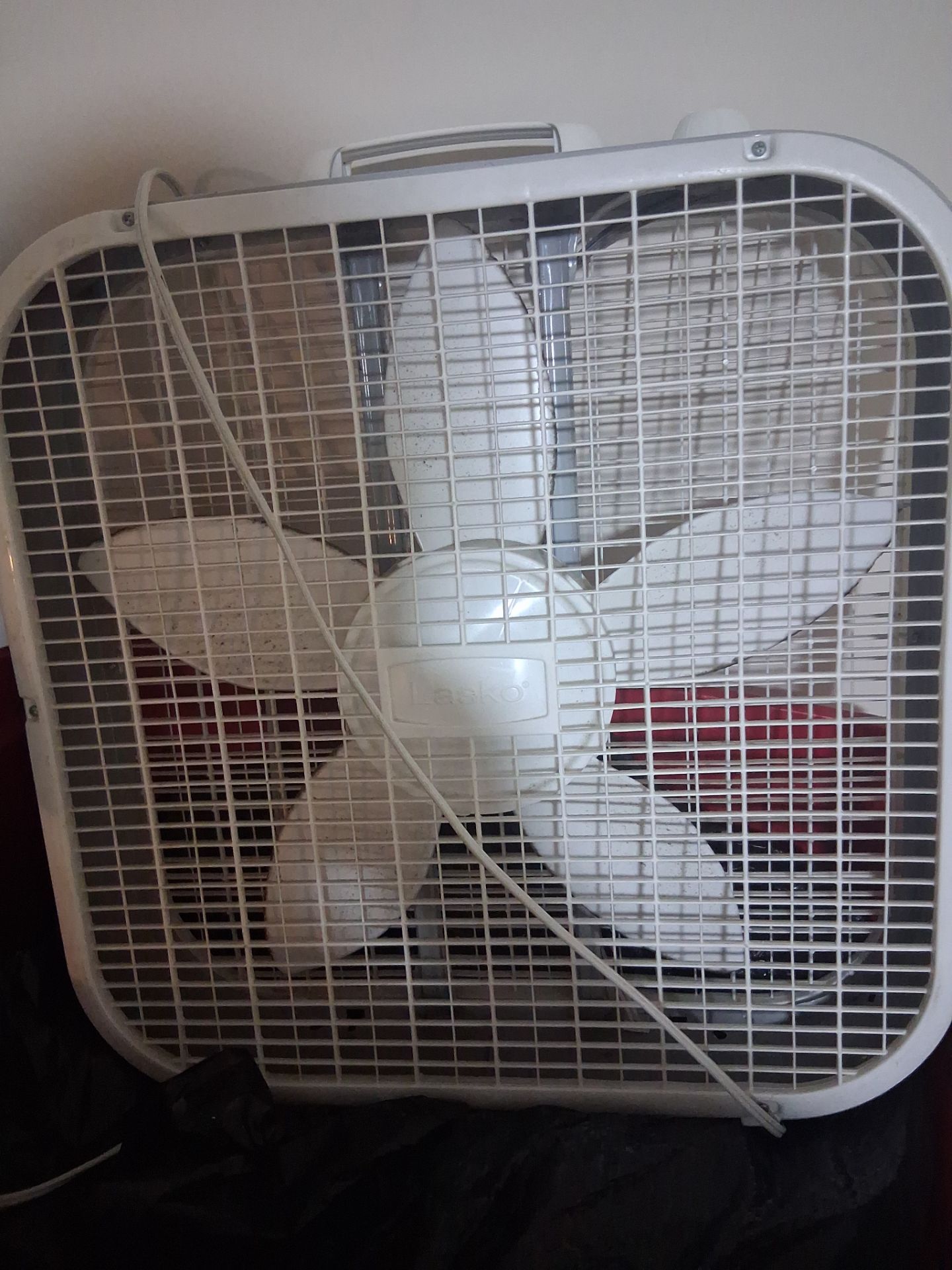 Fan