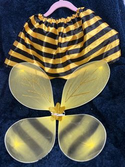 Bumblebee 🐝  Skirt and wings- costume