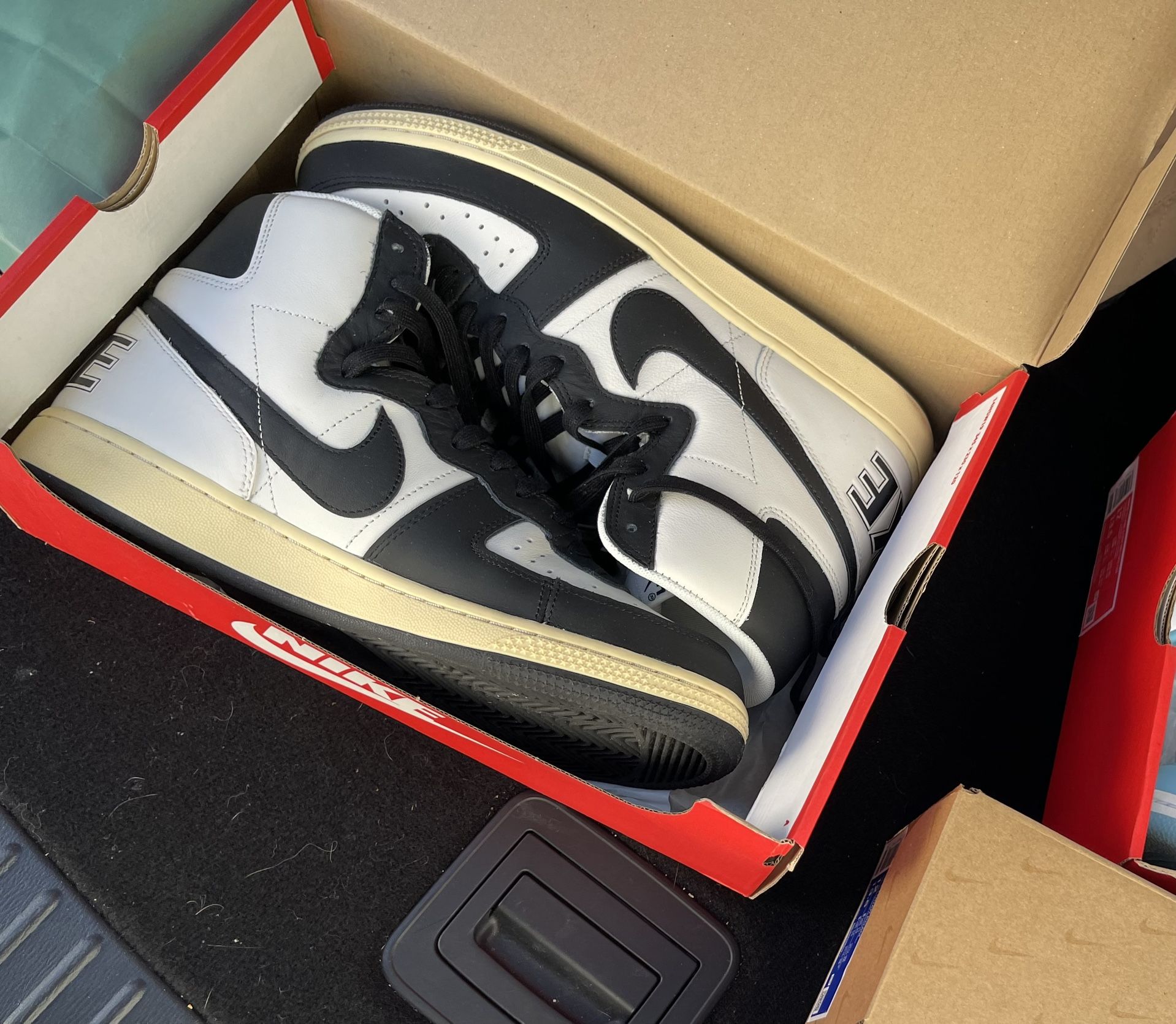 Nike Terminator Men’s 12