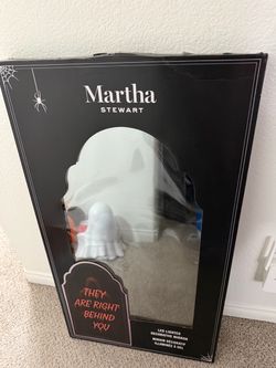 VIRAL MARTHA STUART LIGHT UP MIRROR