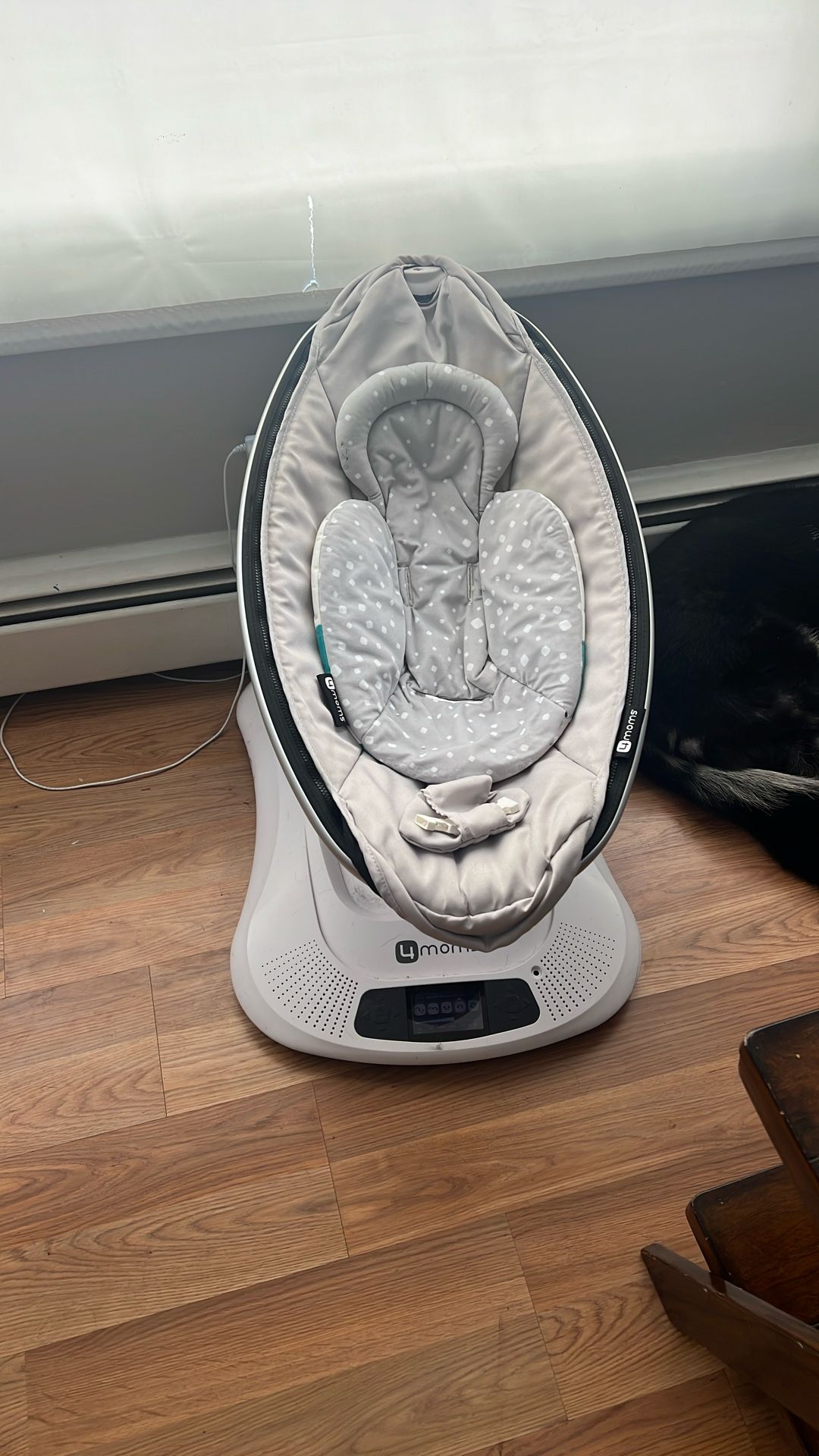 Baby Swing