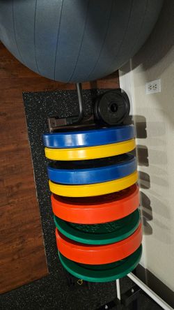 Bumper Plates and Weight Rack on Wheels