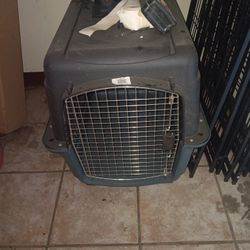 Dog Kennel