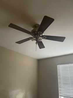 Ceiling Fans