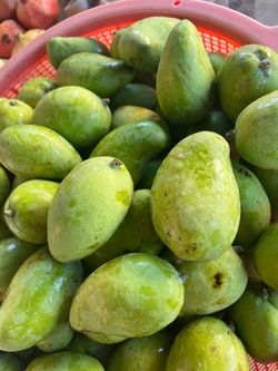 Mango   Tierno   4$. Libra