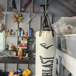 Everlast Elite 2 Heavy Boxing Bag + Bag Hanger + Chain + Gloves 