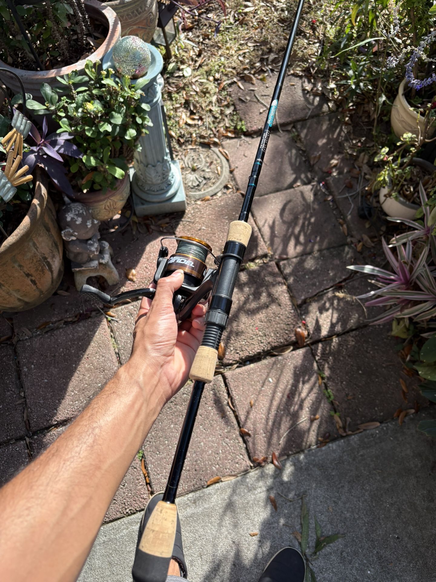 Fishing Rod And Reel