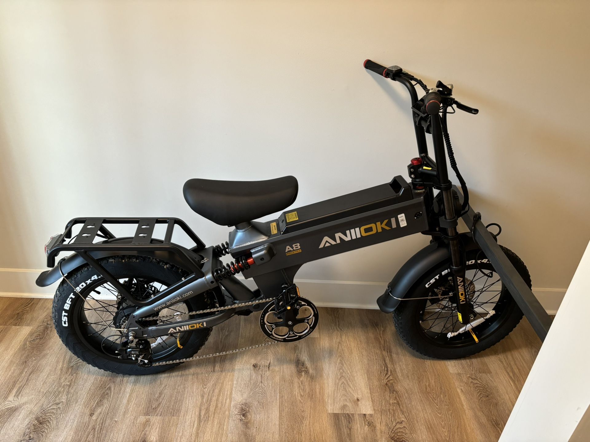 Electric Bike