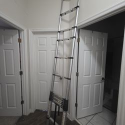 Telescoping Ladder