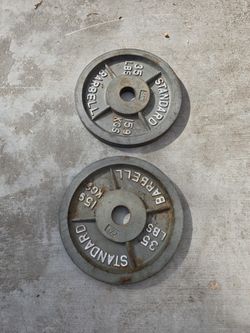 Two 35 pound weight plates