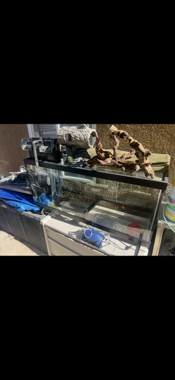 Fish tank for sale