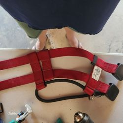 Illusion Collar For Dogs Cesar Millan $10