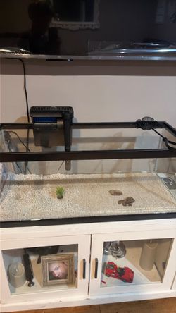 Fish tank
