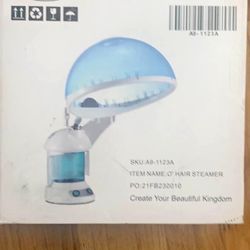 Hair And Facial Steamer