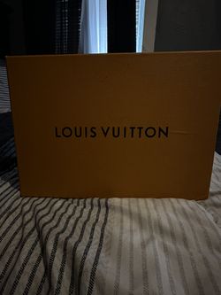Louis Vuitton sneakers 