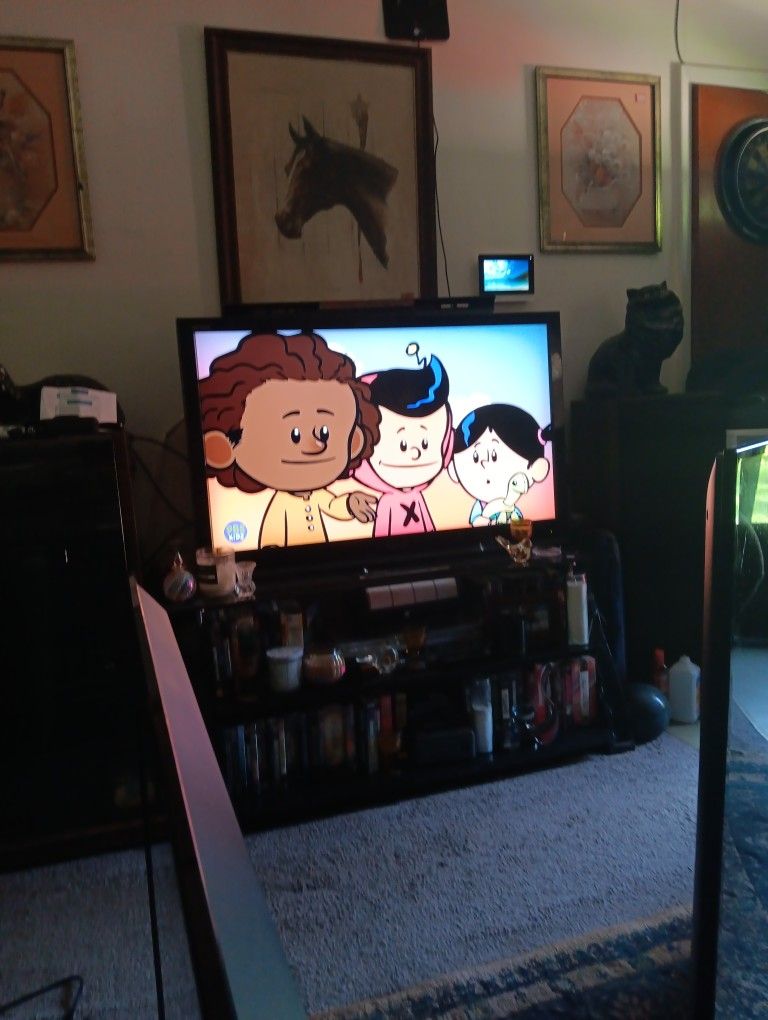 46 Inches  Toshiba TV. Not A Smart TV 