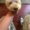 Jake