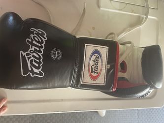 Fairtex 16 Oz Gloves