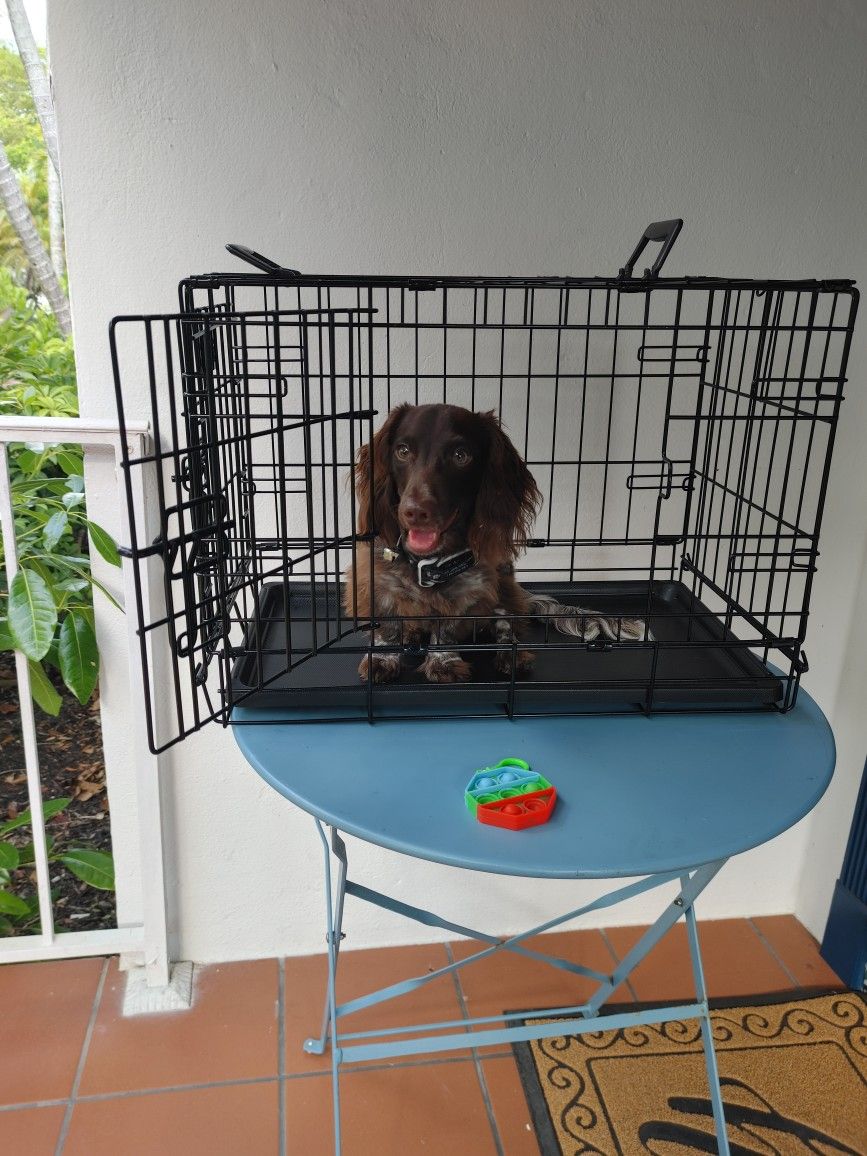 Dog Or cat Crate Small