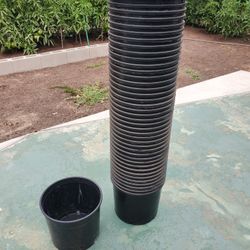 Nursery Pots New 5 Gallons